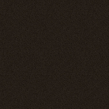 Picture of Patcraft - Color Choice Ebony