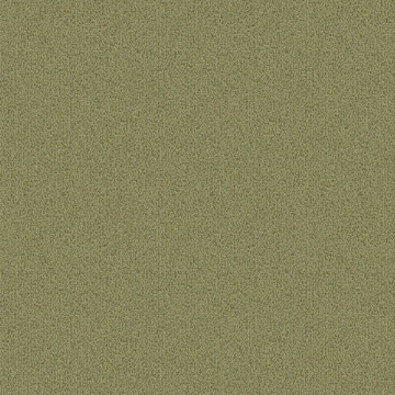 Picture of Patcraft - Color Choice Fescue