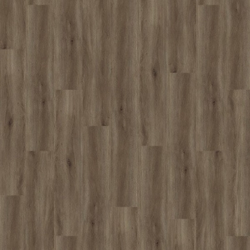 Picture of Palmetto Road - Sojourn Tempo