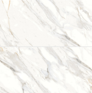 Picture of Bedrosians - Shandar 24 x 48 Arezzo Bianco Polished