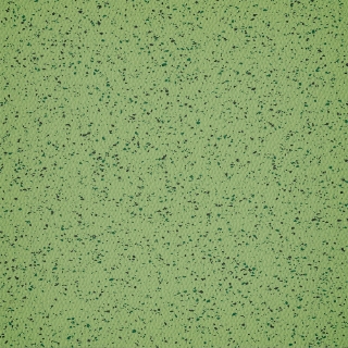 Picture of Burke - Colorspec Sculptured 18 x 18 English Pea