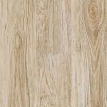 Picture of Next Floor - Incredible Wheatfield