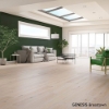 Picture of Chesapeake Flooring - Genesis Brasstown