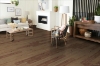 Picture of Robbins - Nature's Canvas Gold Wilderness Retreat Hickory