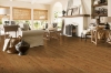 Picture of Robbins - Natural Forest Smooth Hickory 3.25 Suede Brown