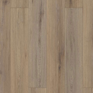 Picture of Shaw Floors - Polaris Plus Wild Dunes