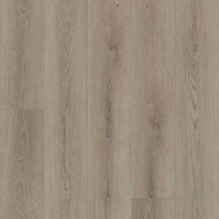 Picture of Shaw Floors - Polaris Plus Toasted Taupe