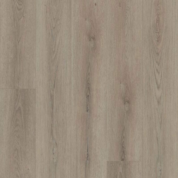 Picture of Shaw Floors - Polaris Plus Toasted Taupe