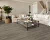 Picture of Shaw Floors - Polaris Plus Toasted Taupe