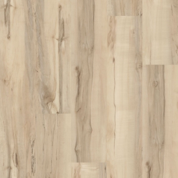 Picture of Philadelphia Commercial by Shaw - Ardent Mineral Maple