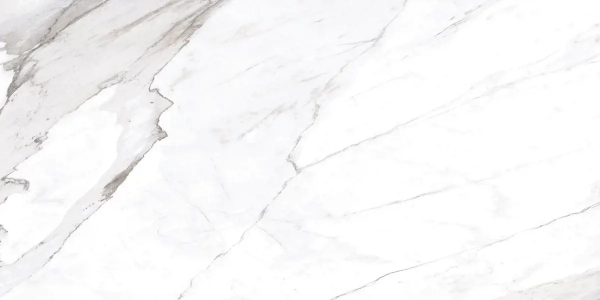Picture of Chesapeake Flooring - Savoy 24 x 24 Apuano Polished