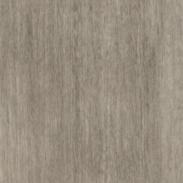 Picture of Patcraft - Timber Grove II 30MIL Heather
