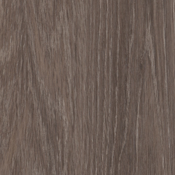 Picture of Patcraft - Timber Grove II 30MIL Frontier