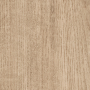 Picture of Patcraft - Timber Grove II 30MIL Sprout