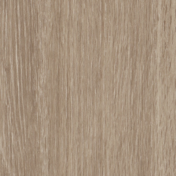 Picture of Patcraft - Timber Grove II 30MIL Boxwood