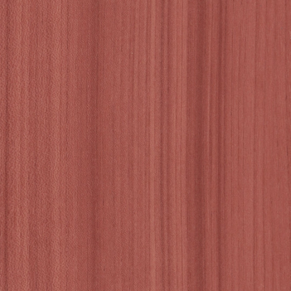 Picture of Patcraft - Timber Grove II 30MIL Coral