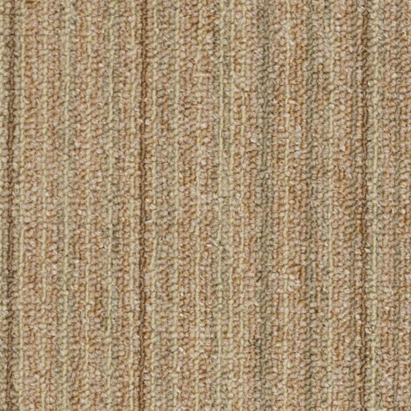 Picture of Philadelphia Commercial by Shaw - Success CT Fortunate