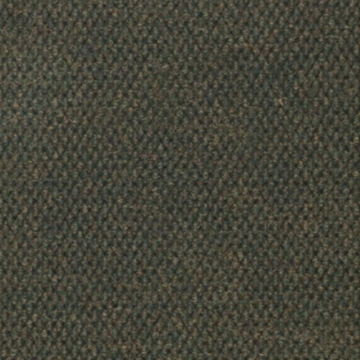 Picture of Philadelphia Commercial by Shaw - Succession Wintergreen