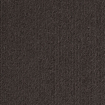 Picture of Philadelphia Commercial by Shaw - SP918 Ebony