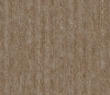 Picture of Philadelphia Commercial by Shaw - Mottled Carmel Ice