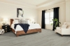 Picture of Shaw Floors - Paladin Plus Warm Grey