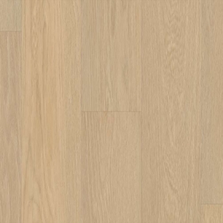 Picture of Shaw Floors - Optimum 512C Plus Oceanfront