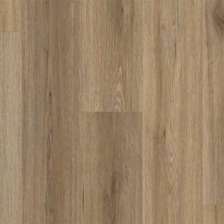 Picture of Shaw Floors - Optimum 512C Plus Wild Dunes