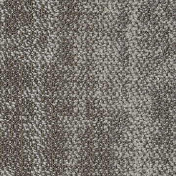 Picture of Shaw Floors - Suspend Tile Branch