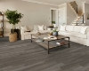 Picture of Shaw Floors - Endura Plus Oyster Oak