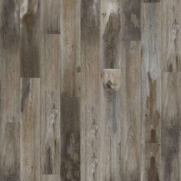 Picture of Mohawk - SolidTech Select Explorers Cove Raccoon