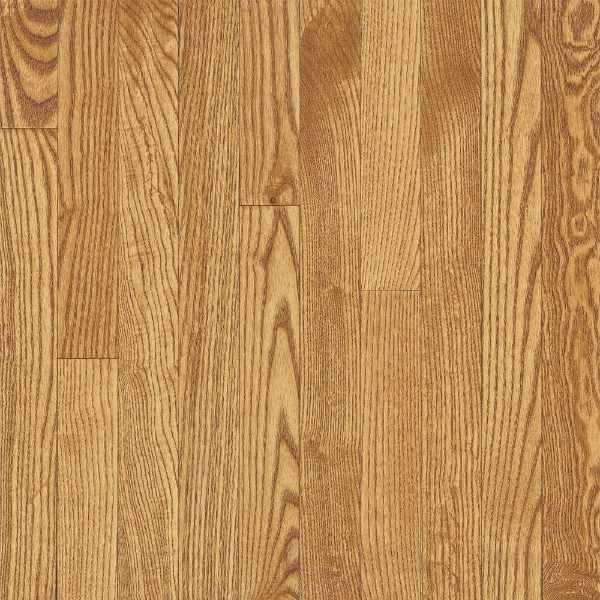 Picture of Bruce - Dundee Strip 2.25 Sea Shell