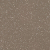 Picture of Flexco - SpexTones Radial Low Profile Dark Beige w Seashell Fjord