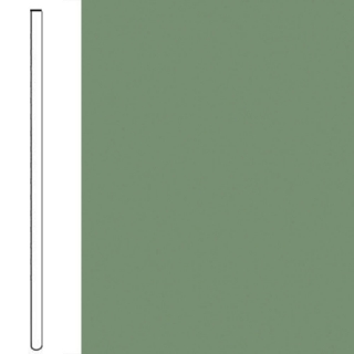 Picture of Flexco - Wallflowers Wall Base 2 1/2 Straight Asparagus