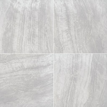 Picture of MS International - Arterra 24 x 24 Porcelain Pavers Praia Grey