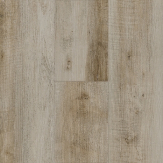 Picture of Next Floor - Amazing Tavern Oak