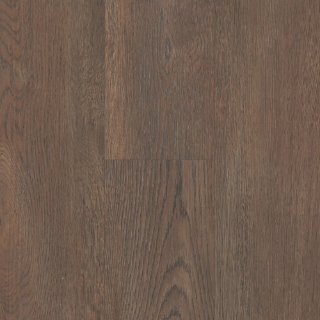 Picture of Next Floor - ScratchMaster Everwood Gunstock