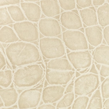 Picture of EcoDomo - Echelon Tile 9 x 18 Paloma Grey Jumbo Croc
