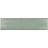 Picture of Roca - CC Cosmos Sage Green