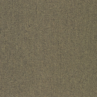 Picture of Patcraft - Color Your World Color Mapping