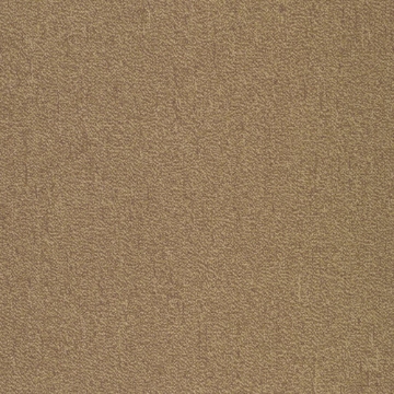 Picture of Patcraft - Color Your World Color Scale