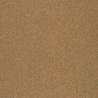 Picture of Patcraft - Color Your World Color Scheme
