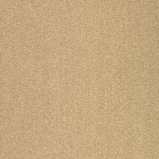 Picture of Patcraft - Color Your World Color Swatches