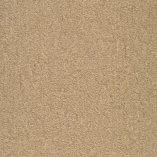 Picture of Patcraft - Color Your World Color Theory