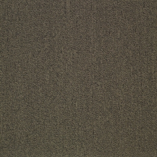 Picture of Patcraft - Color Your World Color Trend