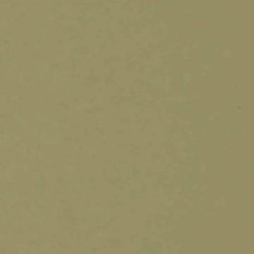 Picture of Globus Cork - Traditional Texture 12 x 24 Pisello