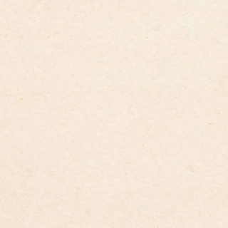 Picture of Globus Cork - Traditional Texture 12 x 24 Snow