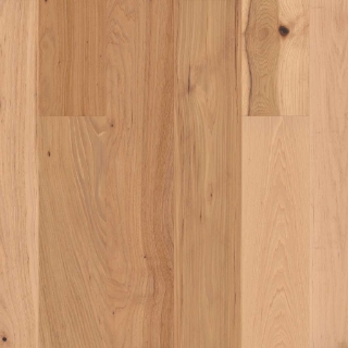 Picture of Shaw Floors - Kingston Hickory Coat Of Arms