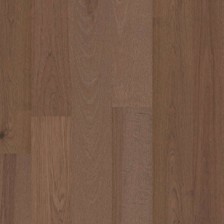 Picture of Shaw Floors - Exploration Hickory Delta