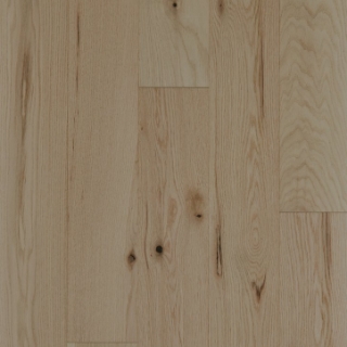 Picture of Shaw Floors - Mariner Oak Horizon