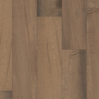 Picture of Shaw Floors - Memorial Maple Independence Hall